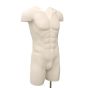 Ghost Mannequin Torso Male - Shown With Arms And Neckline Removed