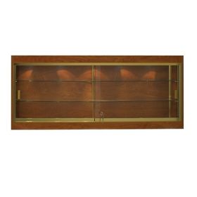 Standard Wall Mounted Display Case