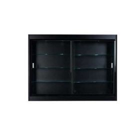 Wall Mounted Display Case with Middle Partition - Front View