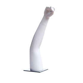 Table Top Mannequin Arm Display Mannequin - 1