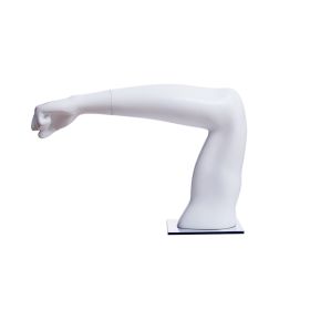 Table Top Mannequin Arm Display Mannequin - 2