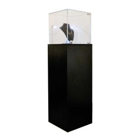 Economy Display Pedestal with Showcase (Shown in use)