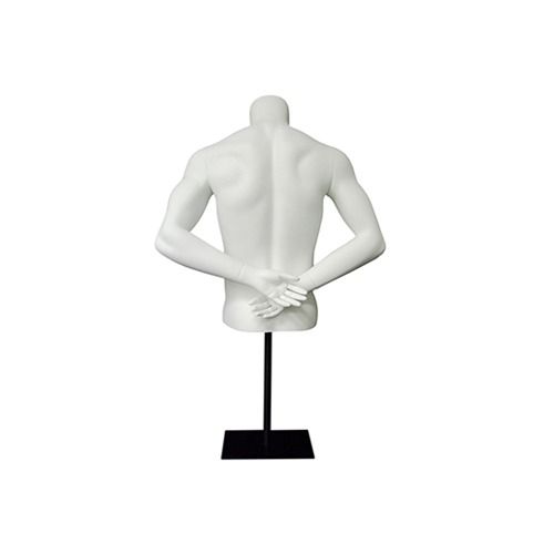 Male Mannequin Head and Shoulders Subastral