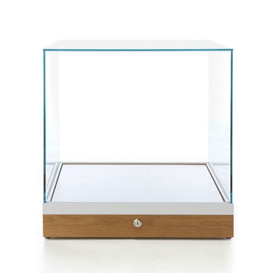 Glass Square Display Case